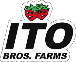 Ito_Bros._logo_350x285